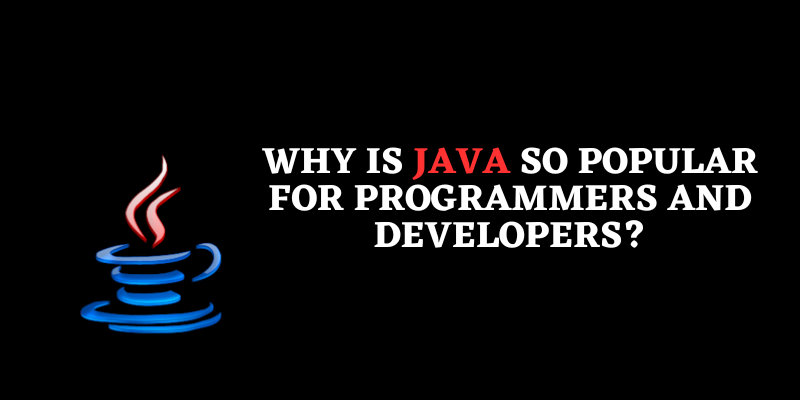 Why is Java so popular for programmers and developers?