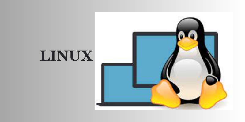 LINUX Operating System